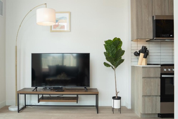 Kasa River North Chicago image 74