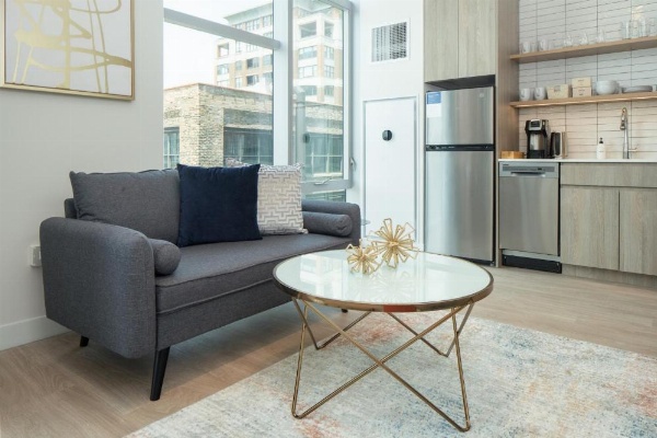 Kasa River North Chicago image 75